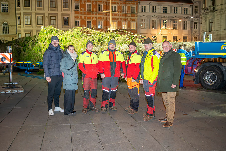 Ein Team für den Christbaum: (V.l.) Stefan Reisinger und Verena Hölzlsauer vom Citymanagement, Martin Strobl, Christoph Schweighofer, Manuel Fraß und Hannes Grabner vom Team Forst mit Stadtförster Peter Bedenk.