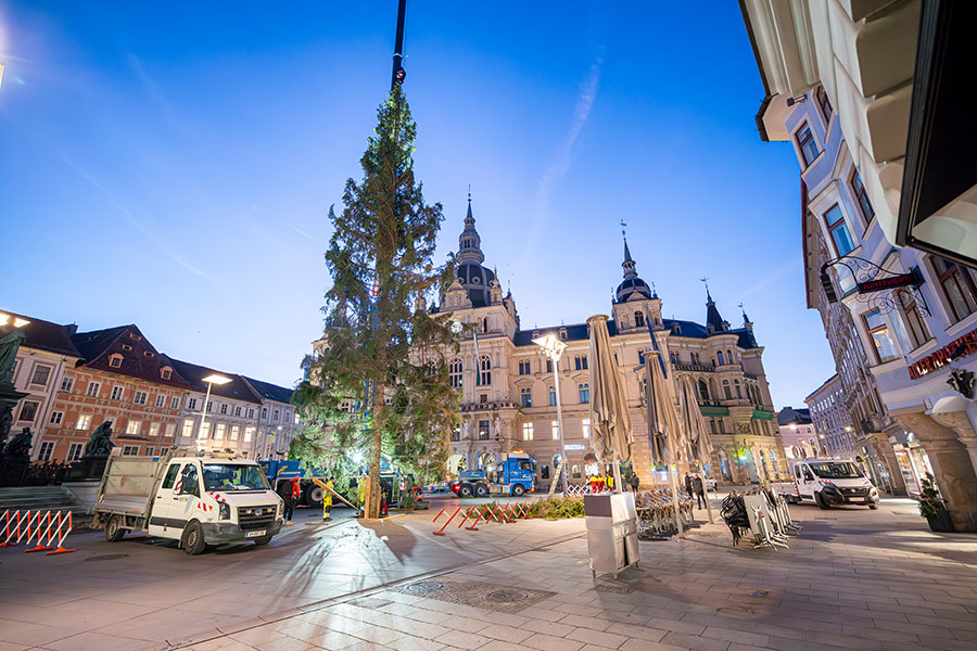 Ab heute ziert der Baum den Hauptplatz.