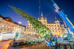 Aufstellung Christbaum