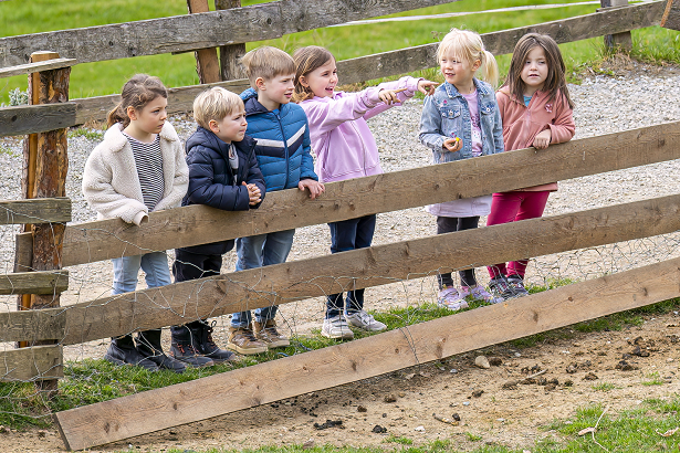 Schule am Bauernhof: Landwirtschaft erleben