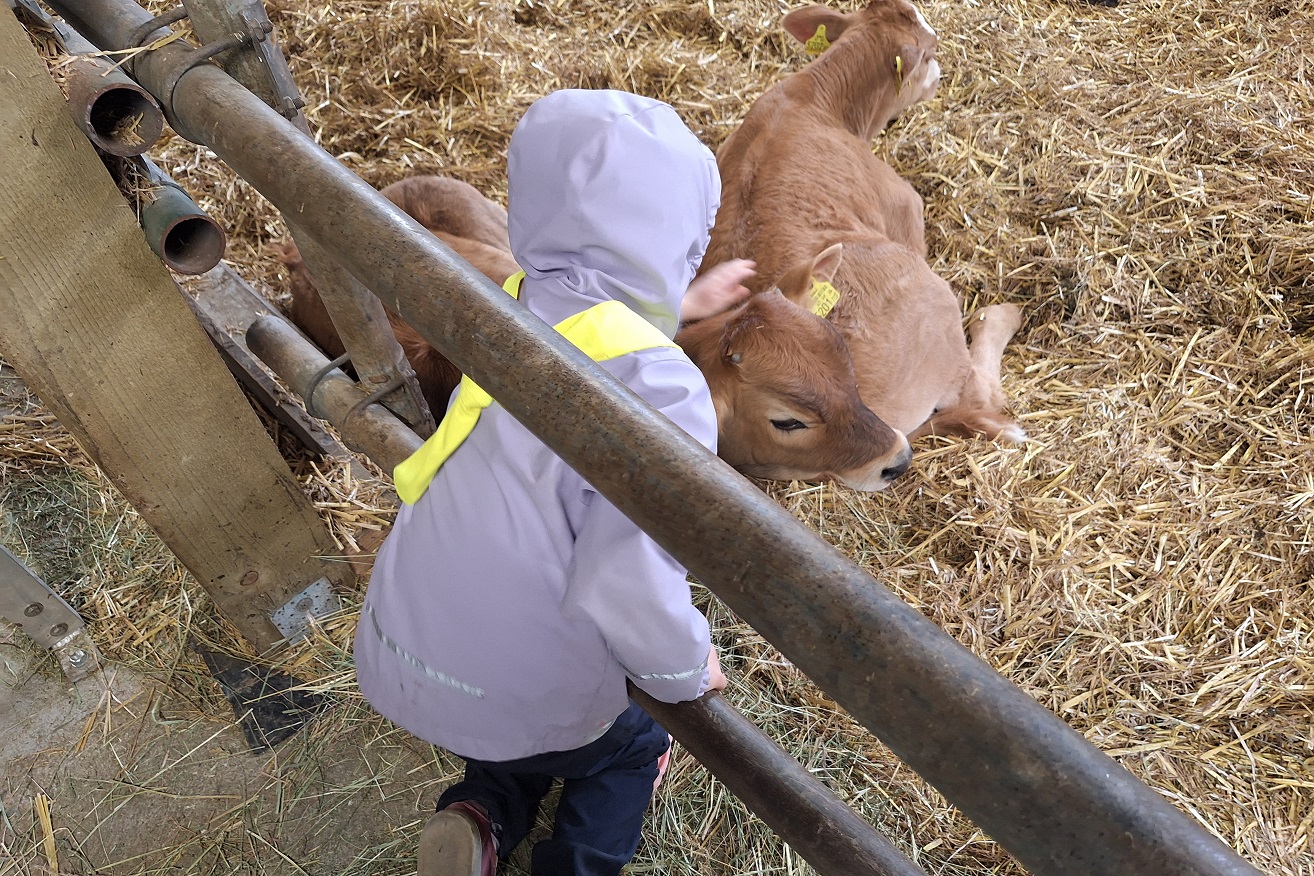 Wir versuchen den Kindern die Vorgänge einer Landwirtschaft näherzubringen. © KIGA Brucknerstraße/Marliot Wir versuchen den Kindern die Vorgänge einer Landwirtschaft näherzubringen.